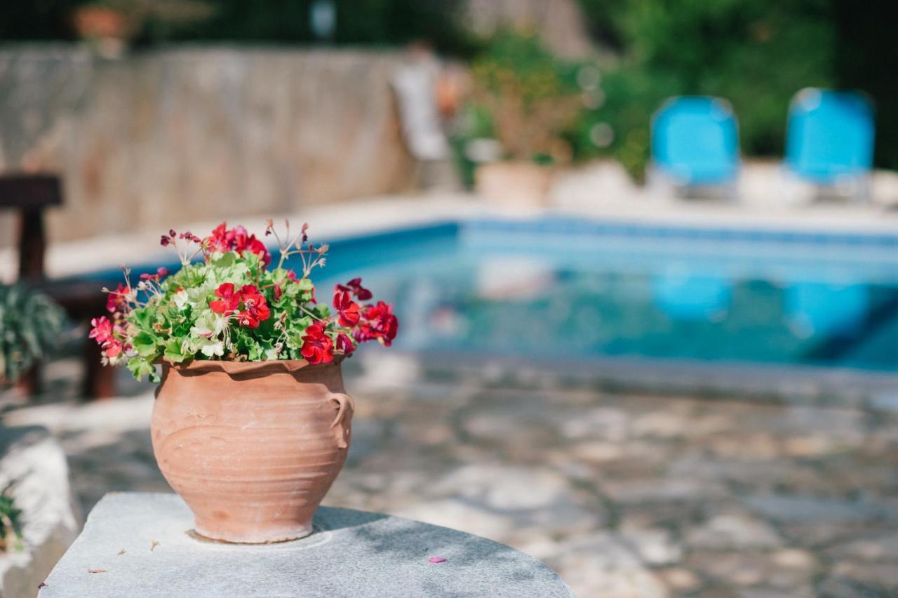 Villa Toula With Pool Nr Armeni Crete Makhairoí 外观 照片